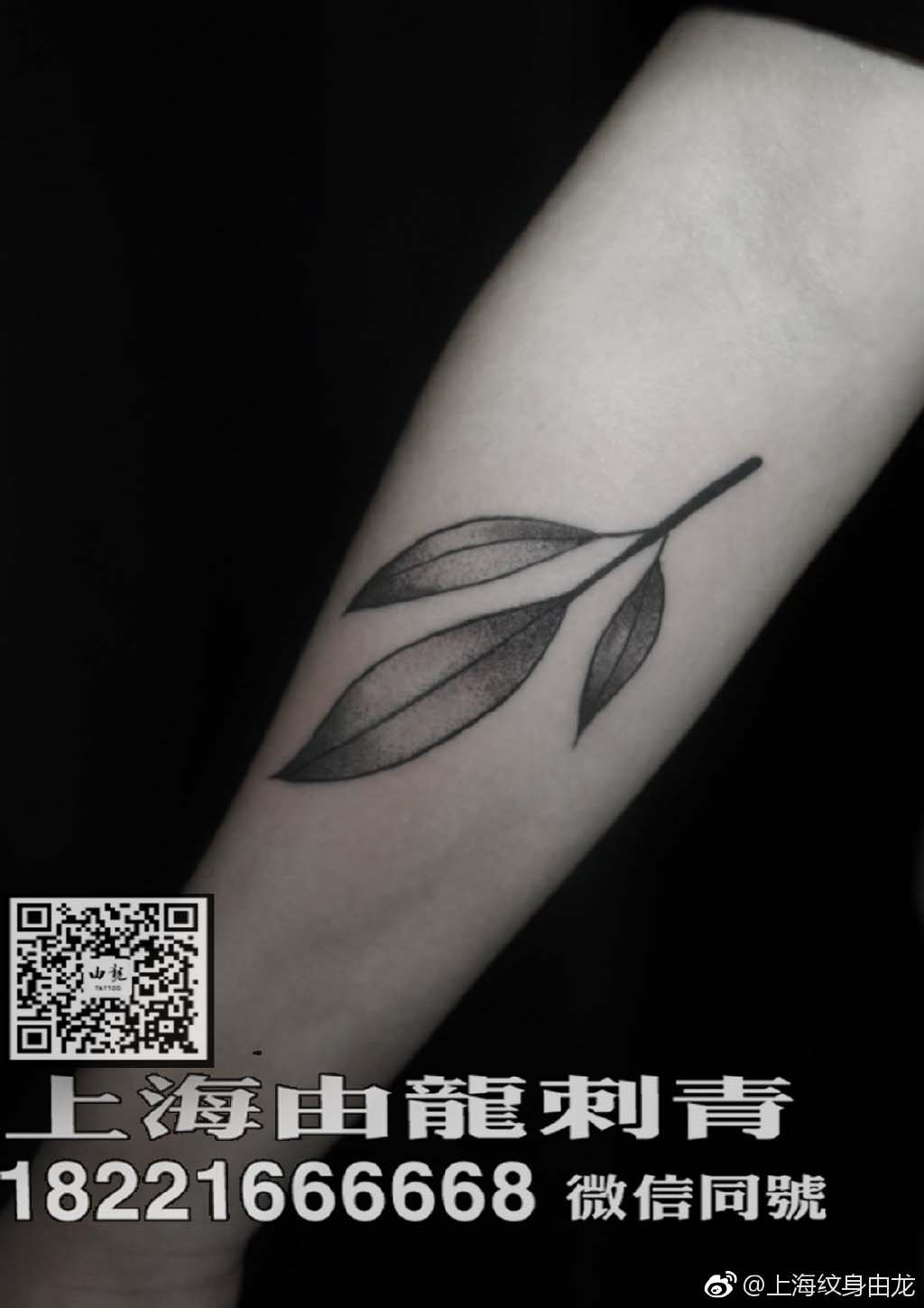 【纹身图案素材第463期】树叶_纹身百科 - 纹身大咖